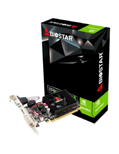 Scheda Video Biostar GeForce GT 610 2 GB DDR3