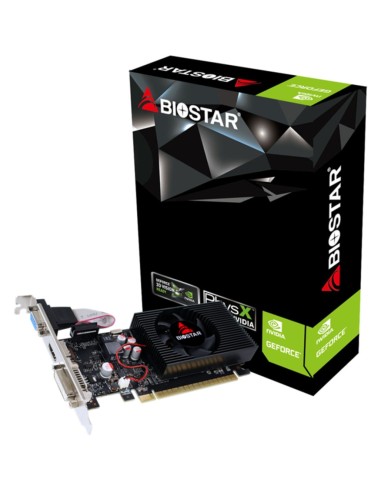Scheda Video Biostar Geforce GT 730 2 GB DDR3