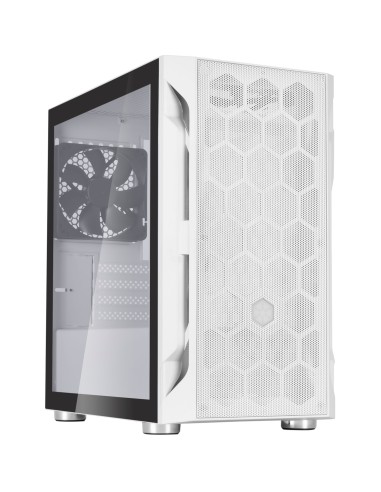 Case SilverStone SST-FAH1MW-G Midi-Tower Bianco Tempered Glass