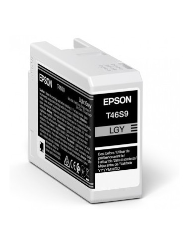 Cartuccia d'inchiostro Epson grigio (chiaro) C13T46S900 T46S9 25ml