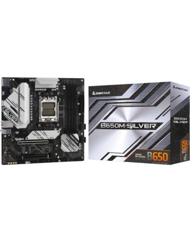 Scheda Madre Biostar B650M-SILVER Formato Micro-ATX